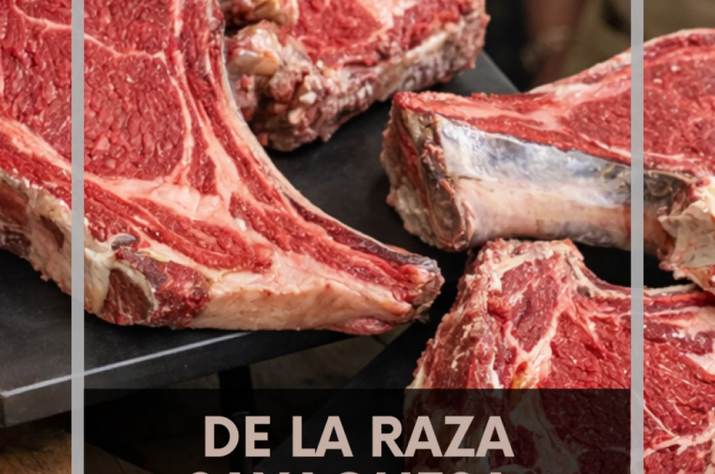 I Tour de verano carne de raza Sayaguesa